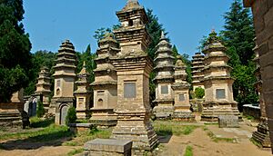 Pagoda Forest, Shaolin Temple - September 2011 (6169489040)