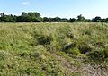 Pakenham Meadows 2