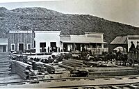 Palisade Nevada 1870s