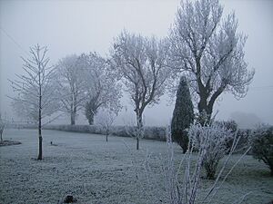 Pickering Frost