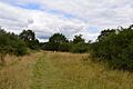 Prestwick Road Meadows 6