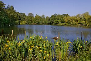 Priory Pond - geograph.org.uk - 1326750