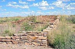 Ruins at Puerco Pueblo consisting of very low walls, about a meter (three feet) tall, of stacked reddish-brown rocks forming the rectangular shapes of a multi-room structure, surrounded by short greenish, yellow desert vegetation slightly taller than the walls