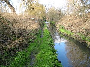 Pyl Brook in Morden - geograph.org.uk - 675271
