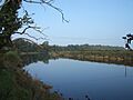 River Eden near Kirkandrews - geograph.org.uk - 269432