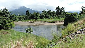 Russell River, boundary between Woopen Creek (foreground) and Bartle Frere (background), 2018 02