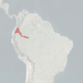 Saguinus nigricollis MDD Range