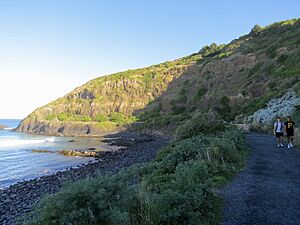 Second Beach, Dunedin