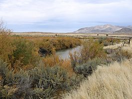 Sevier River Leamington Utah.jpg