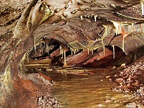 Skyway Lake, stalactites, Wind Cave.jpg