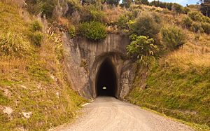 Tangahoe Valley Road tunnel, Taranaki, New Zealand