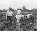 The Education System in Britain, 1914-1918 Q30858