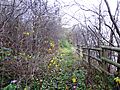 The Orchards Nature Reserve 4