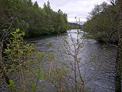 The Spey at Boinne Dhubh looking downstream - geograph.org.uk - 785303.jpg