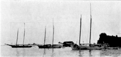 Three Schooners of Maryland Fishery Force—Old Type of Vessels