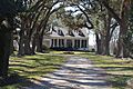 Trinity Plantation