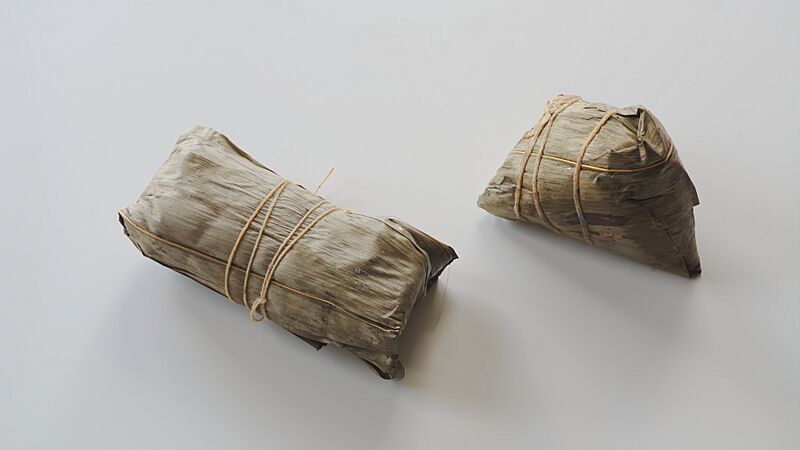 Two Zongzi styles