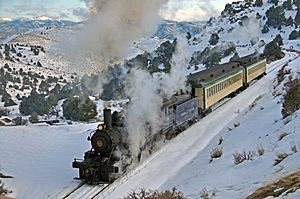 Virginia and Truckee No. 29 at the South end of Virginia City