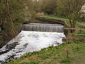Weir on River Irk, Alkrington Woods Nature Reserve - geograph.org.uk - 1820542