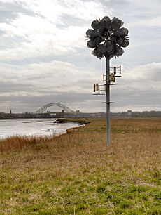 Widnes Waterfront, The Future Flower - geograph.org.uk - 3428573