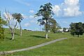 Woodford-Fishback-Venable Farm driveway and barns