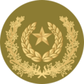 06.Pakistan Army-MSG
