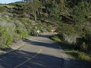 110301 SR-56 BT bicyclist curve hill 025