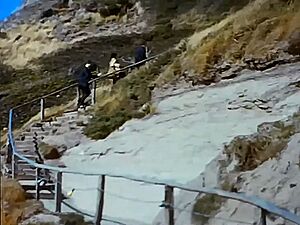 1960s steps