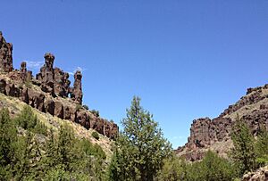 2013-06-28 12 55 36 Hoodoos along Elko County Route 748 (Charleston-Jarbidge Road) in the Jarbidge River Canyon north of Jarbidge in Nevada