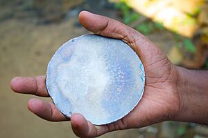 ARANMULA KANNADI RAW