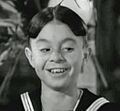 Alfalfa gip