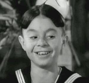 Alfalfa gip.jpg