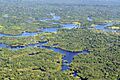 Amazon CIAT (4)