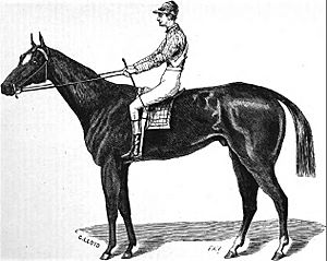 Aristides (horse)