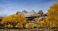 Autumn colors in Capitol Reef National Park