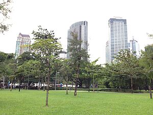 Ayala Triangle Gardens