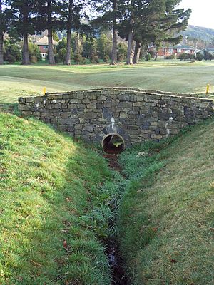 Balmacewen golf footbridge