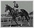 Beldame the horse (Frank O'Neill riding)