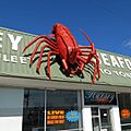 Big Rock Lobster