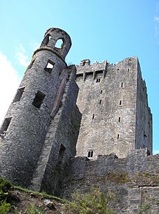 Blarney Castle. co Cork. Ireland.