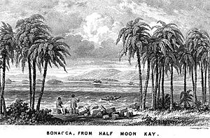 Bonacca AKA Guanaja 1842