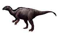 Camptosaurus.jpg