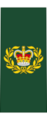 Canadian Army OR-8
