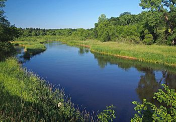Clearwater River MN.jpg
