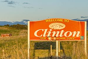 Clinton township sign.jpg