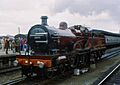 Compound 1000 at York