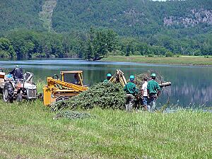 Connecticut River restoration Farilee VT1