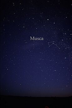 Constellation Musca