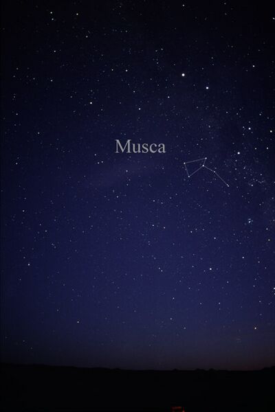 Constellation Musca