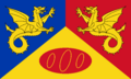 Craig-y-Dorth Flag